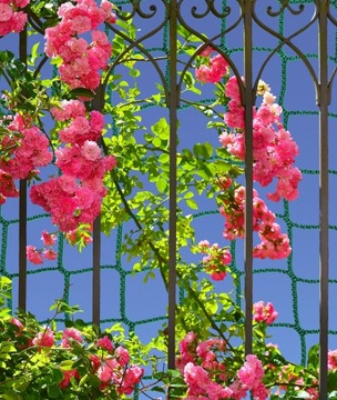 ЗАЩИТА ВОДНЫХ ПРУДОВ CARBOO SECURITY