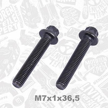 POPYCHACZ ZAWOROW HYDR. BS0027 SZT ET ENGINETEAM