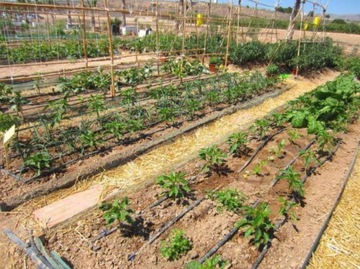 Комплект Некомпенсированная капельная линия 50 м + 50 штифтов / 87 аксессуаров