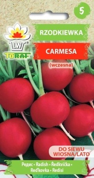 RZODKIEWKA Carmesa WCZESNA nasiona