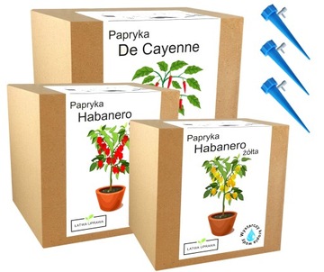 Mix zestawów do uprawy świeże ostre papryki chili