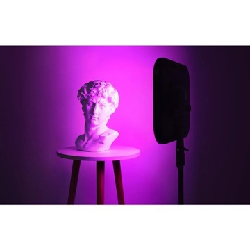 Студийный комплект Neewer RGB168 RGB LED, две лампы 60Вт 2500-8500К + подставки