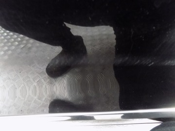 DVEŘE LEVÉ LEVÝ ZADNÍ MERCEDES W164 W 164 ML