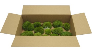 Светло-ЗЕЛЕНЫЙ Мох для подушки, коробка 100г НЕТТО