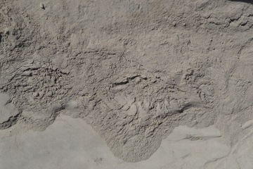 Mączka Bazaltowa naturalny pył ogród 24,5 kg