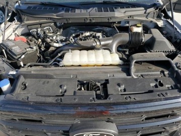 Ford 2024 Ford F150 XLT 2WD SuperCrew 5.5 Box 2.7 Benzyna 325KM, zdjęcie 10