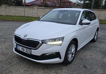 Skoda Scala Hatchback Facelifting 1.0 TSI 115KM 2024 Skoda Scala Skoda Scala 1.0 TSI Ambition DSG