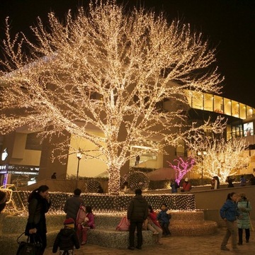 НАРУЖНЫЕ РОЖДЕСТВЕНСКИЕ СВЕТИЛЬНИКИ9,5м 100LED+ВСПЫШКА ISKRA