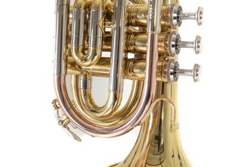 Карманная труба Bach Bb PT650