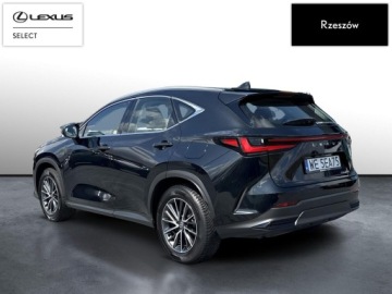 Lexus NX II SUV Facelifting 2.5 350h 243KM 2024 Lexus NX 350h Elegance 2WD II (2021-) NX350h Elega, zdjęcie 2
