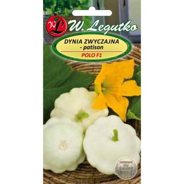 Patison POLO F1 mieszaniec -Dynia zwyczajna