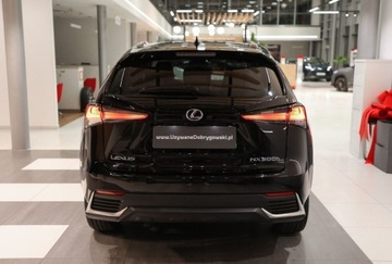 Lexus NX II 2021 Lexus NX 300h Optimum AWD 2.5 Benzyna 197KM, zdjęcie 5