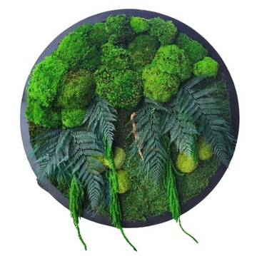 Zielony obraz z mchu z roślinami stabilizowanymi, 80 cm