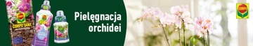 ПРОФЕССИОНАЛЬНЫЙ COMPO SANA 5Л ЛЕГКИЙ СУБСТРАТ ДЛЯ ОРХИДЕИ ОРХИДЕИ