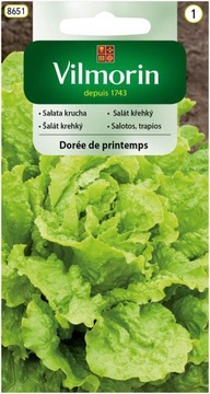Sałata gruntowa DOREE DE PRINTEMPS VILMORIN 1g