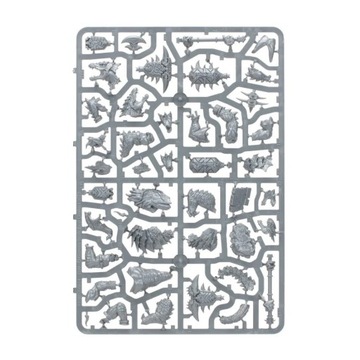 Авангард: Серафон, Warhammer Age of Sigmar