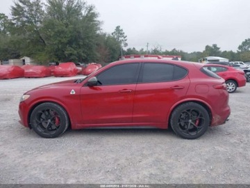 Alfa Romeo Stelvio 2019 Alfa Romeo Stelvio Quadrifoglio 2019 2.9 Benzyna 505KM, zdjęcie 2