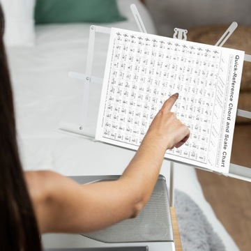 ОБУЧАЮЩИЙ ПЛАКАТ С схемой аккорда «гарпия»