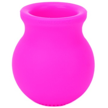 ПОМПА ДЛЯ ГУБ VISUALSOURCE СИЛИКОНОВАЯ С КИСТЬЮ РОЗОВАЯ