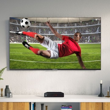 Декодер-тюнер Manta DVBT024PRO DVBT2/HEVC Remote