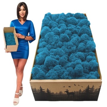 Финский мох 500г сетка, синий