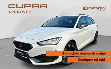 Cupra 2023