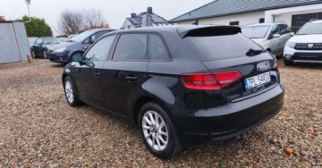 Audi A3 8V Cabriolet 1.6 TDI clean diesel 110KM 2016 Audi A3 Sportback Audi A3 Sportback 1.6 TDI 1.6 Diesel 110KM, zdjęcie 10