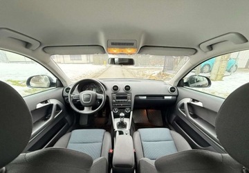 Audi A3 8P Hatchback 3d 1.6 TDI 105KM 2010 Audi A3 3-drzwiowe Audi A3 3-drzwiowe 1.6 TDI DPF Ambition 1.6 Diesel 105KM, zdjęcie 17