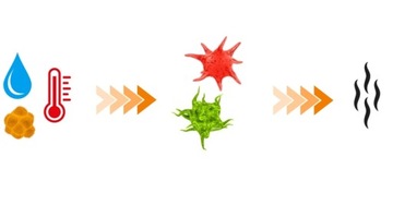 Освежитель - Поглотитель влаги для спортивного инвентаря - DBX DRYER 2.0 293