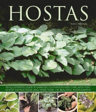 Hostas - Andrew Mikolajski