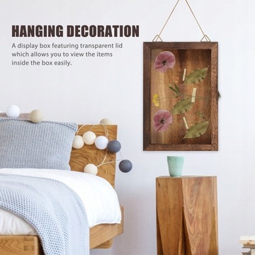 Витрина для старинных монет