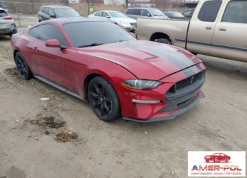 Ford Mustang VI 2019 Ford Mustang FORD MUSTANG ECOBOOST 2.3 Benzyna 314KM