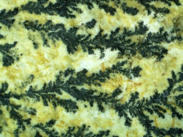 Стереоскопический микроскоп Delta Optical StereoLight