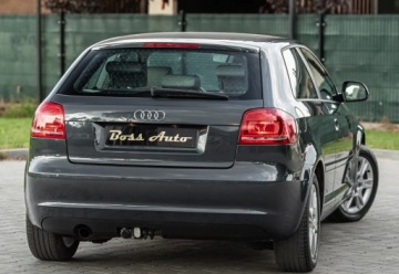 Audi A3 8P Hatchback 3d 1.6 TDI 105KM 2010 Audi A3 3-drzwiowe 1.6TDI 105KM DsG Skora Climatron Alu Po Serwisie Gwaran, zdjęcie 11
