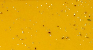 Желтые липкие дощечки от белокрылки и дождевых червей, 10 шт.