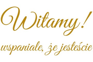 naklejka Witamy! wspaniale, że jesteście (2) 45x24