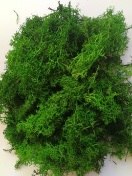 MECH CHROBOTEK ŚCIÓŁKA STROIK OZDOBA ODPAD 100G