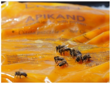 НАБОР АПИКАНД 5КГ С ПЫЛЦЕВЫМ МИКСОМ ДЛЯ ТОРТА