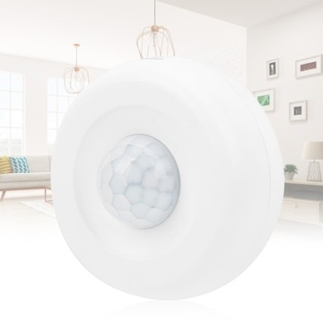 WIFI PIR Детектор движения Инфракрасная сигнализация Система оповещения