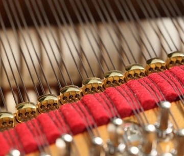 Мастер-пианино KAWAI SK-7 229 см