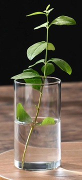 СТЕКЛЯННАЯ ВАЗА ДЕКОР ЦВЕТОЧНЫЙ ДЕКОР