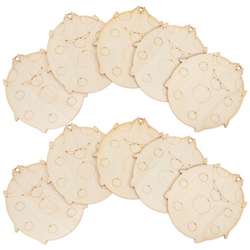 ДОСКА ДЛЯ БРИТЬЯ НАСЕКОМЫХ 10 ШТ.