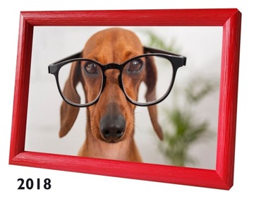 ТЮЛЬПАН ФОТОрамка 13х18 на детский день рождения в цветах