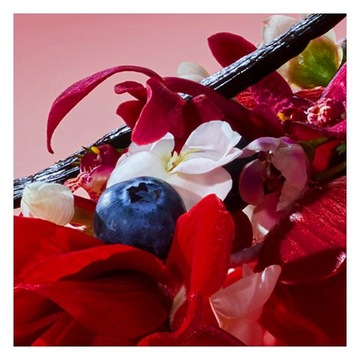 КАШАРЕЛЬ AMOR AMOR EDT 30 МЛ ОРИГИНАЛ