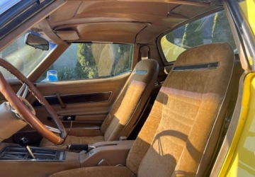 Chevrolet Corvette C3 1976 Chevrolet Corvette Chevrolet Corvette 5.7 Benzyna 200KM, zdjęcie 21