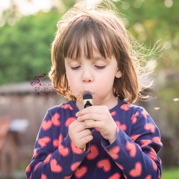 ZUCARD METAL KAZOOS KAZOO INSTRUMENT