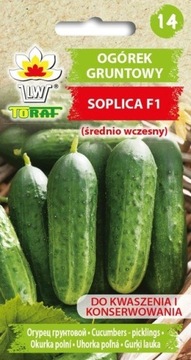 Ogórek gruntowy Soplica F1 - 5g TORAF