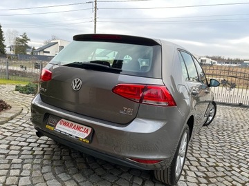 Volkswagen Golf VII Hatchback 3d 1.2 TSI 105KM 2014 VW GOLF VII, 105 KM, 5 DRZWI, SERWISOWANY, zdjęcie 3