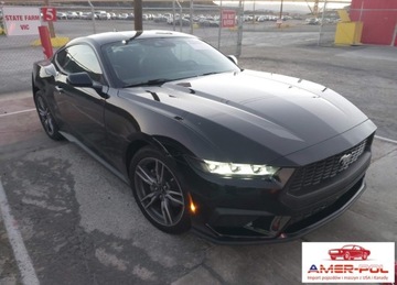 Ford Mustang VI 2024 Ford Mustang FORD MUSTANG ECOBOOST FASTBACK 2.3 Benzyna 319KM