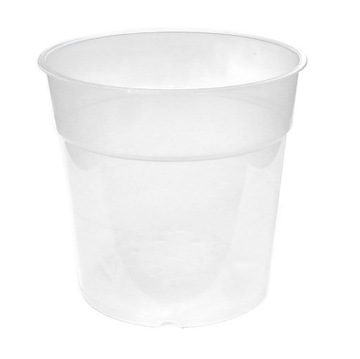 DONICZKA do uprawy STORCZYKA transparentna 11,5cm